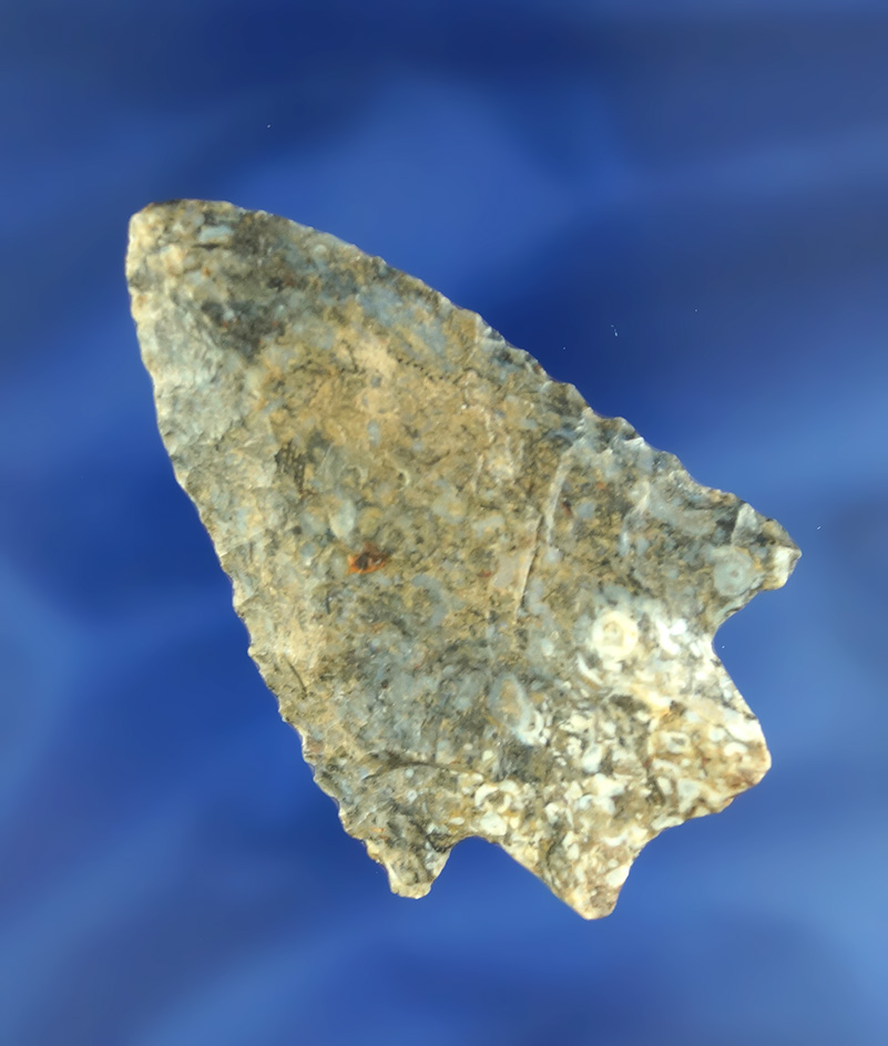 Main artifact image