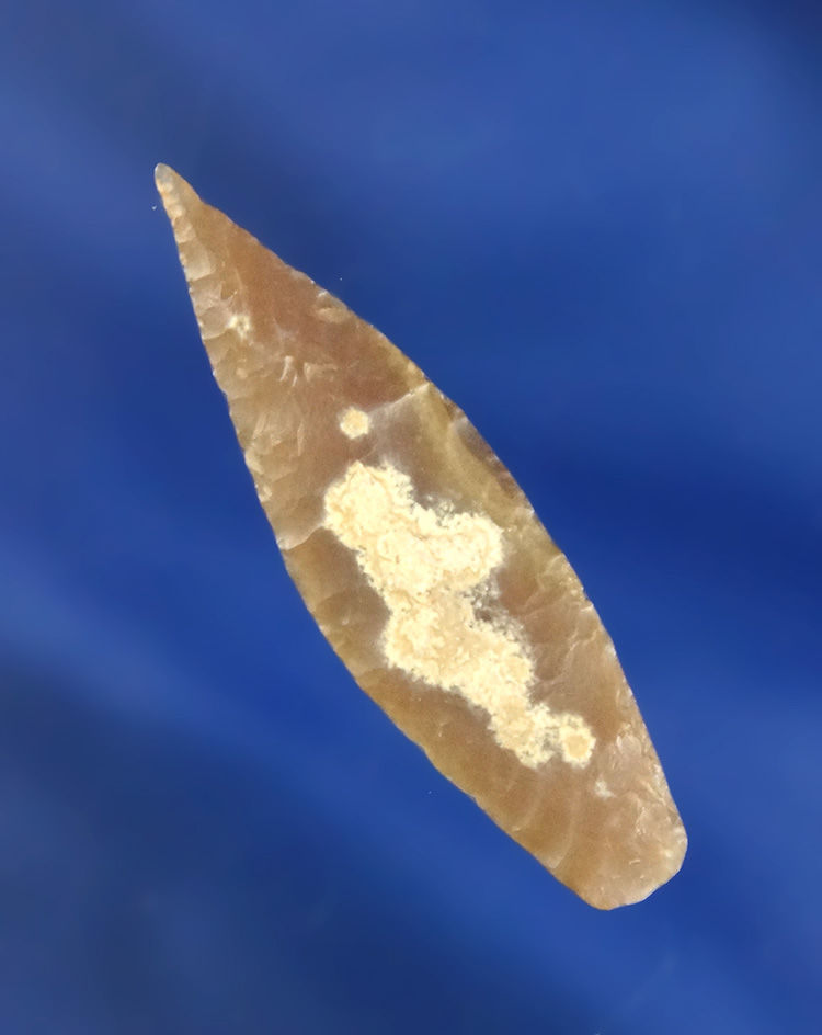 Main artifact image