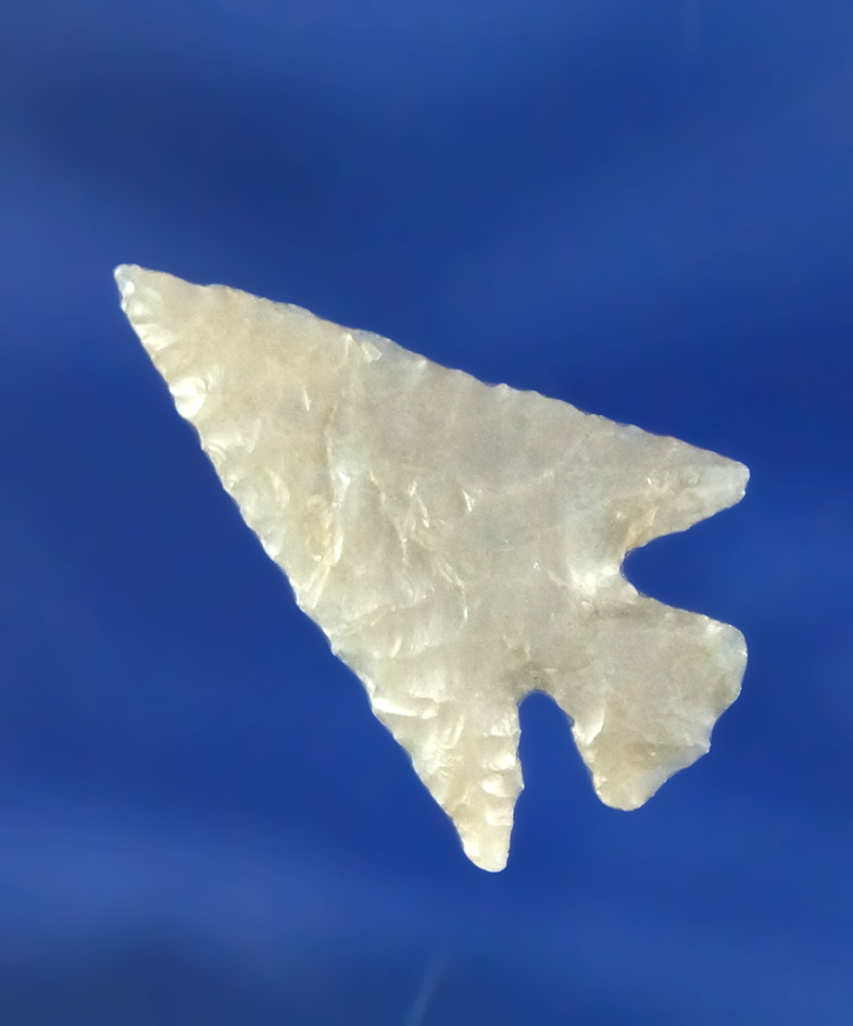 Main artifact image