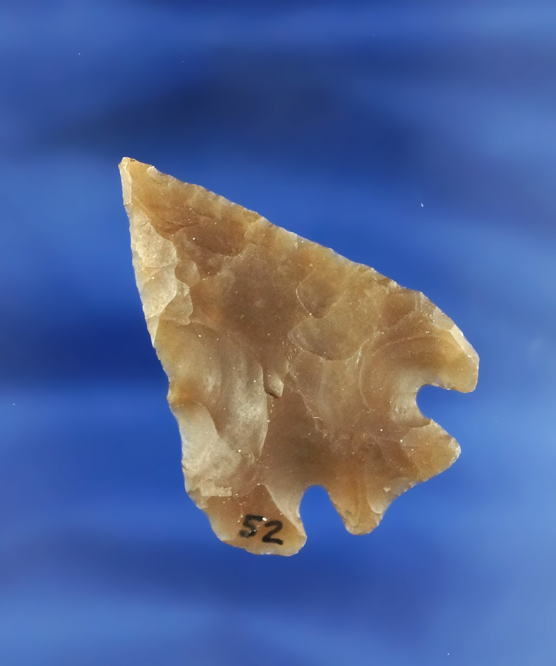 Main artifact image