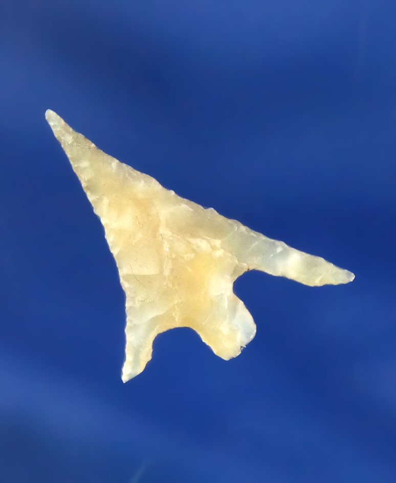 Main artifact image