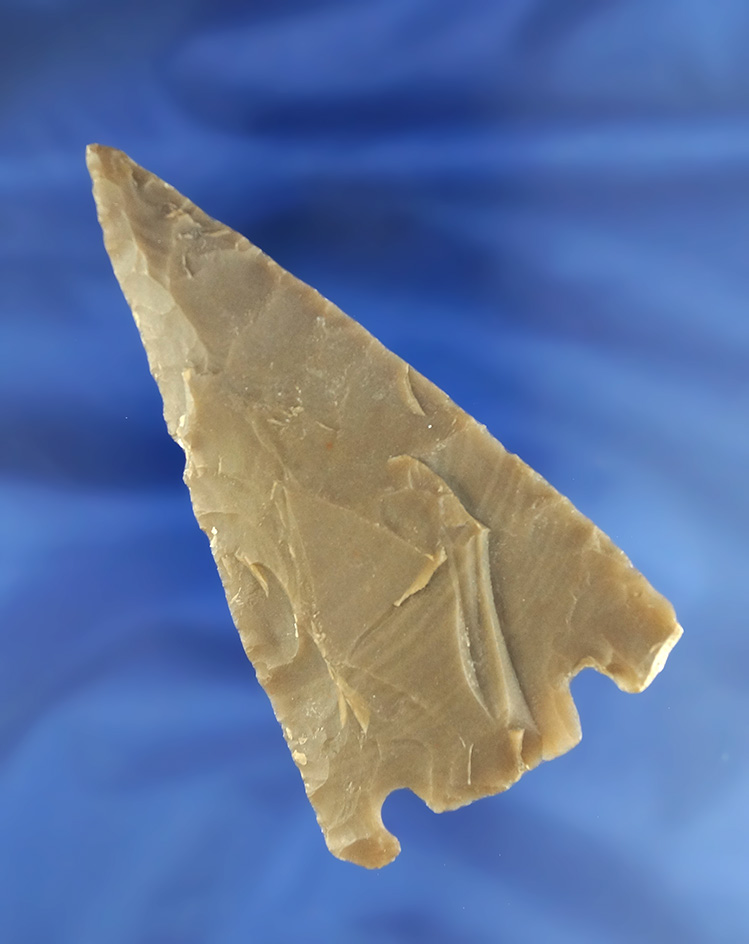 Main artifact image