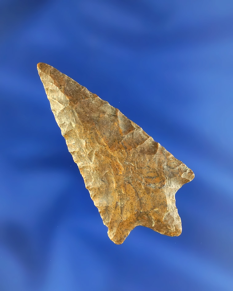 Main artifact image