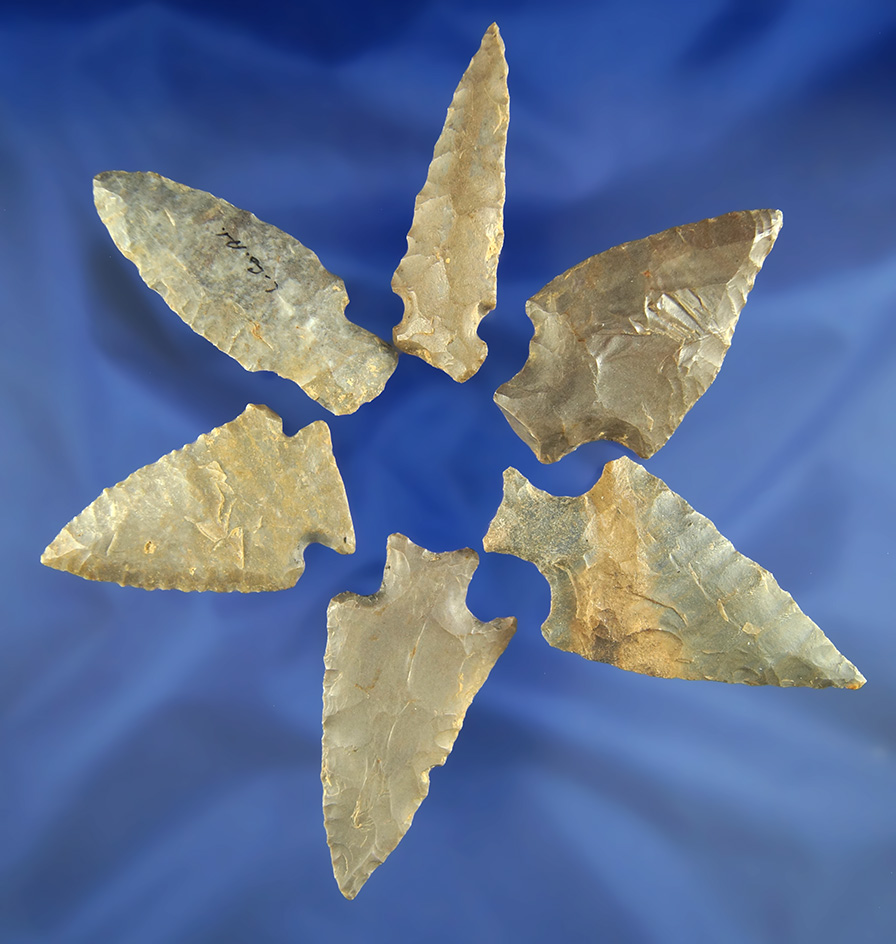Main artifact image