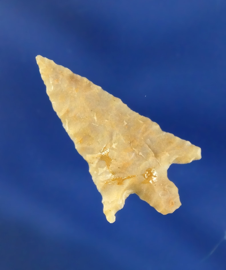 Main artifact image