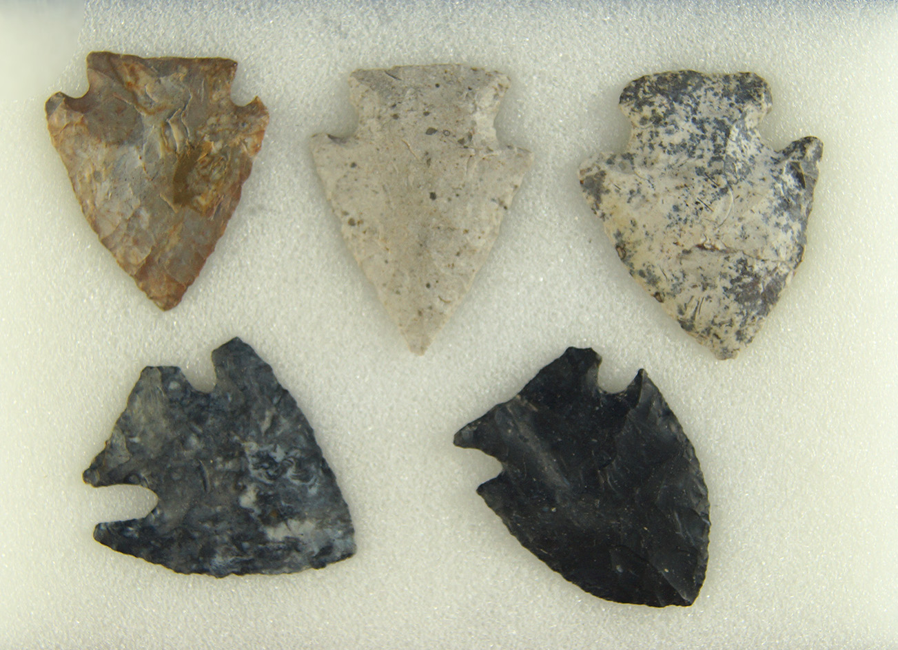 Main artifact image