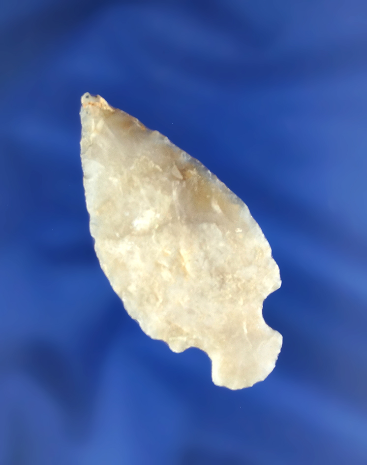 Main artifact image