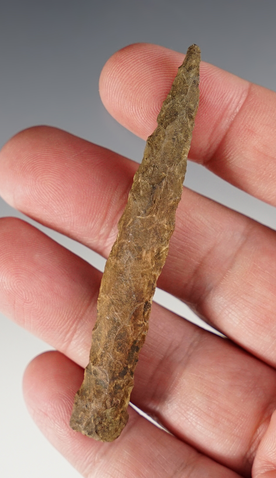 Main artifact image