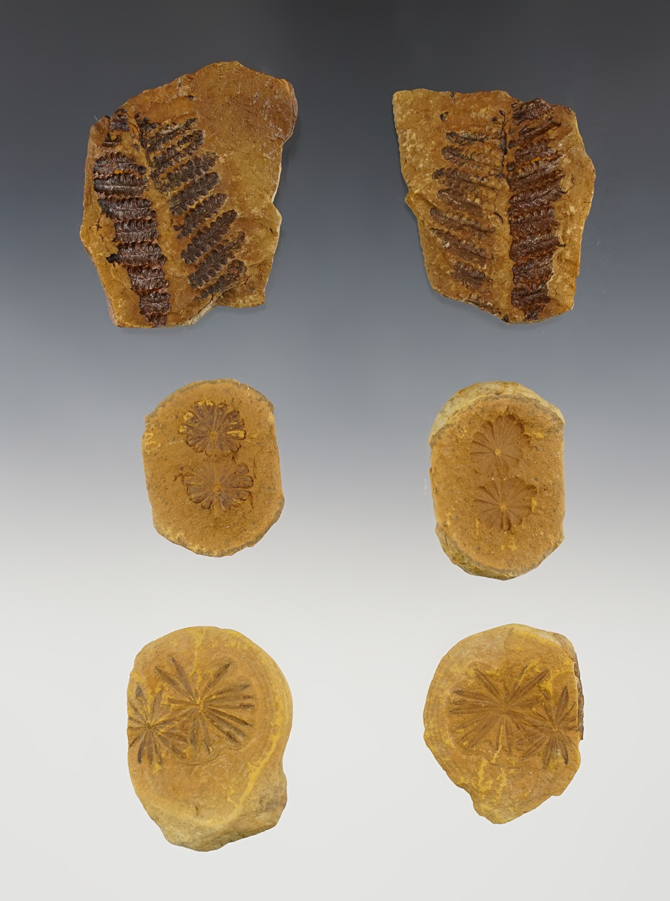 Main artifact image