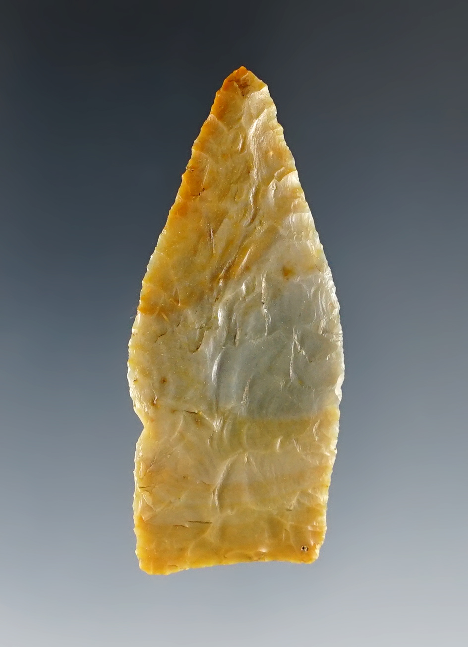 Exceptionally thin 2" Jacks Reef Pentagonal - Madison Co., Ohio. Ex. Dunn, Converse collections.
