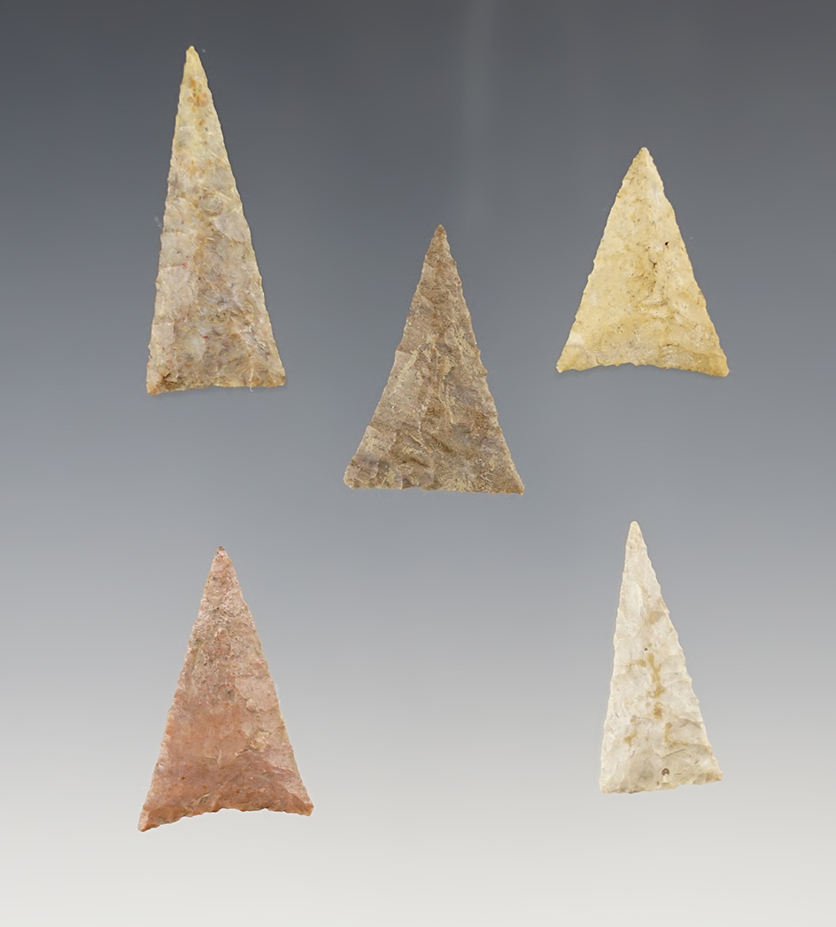 Main artifact image