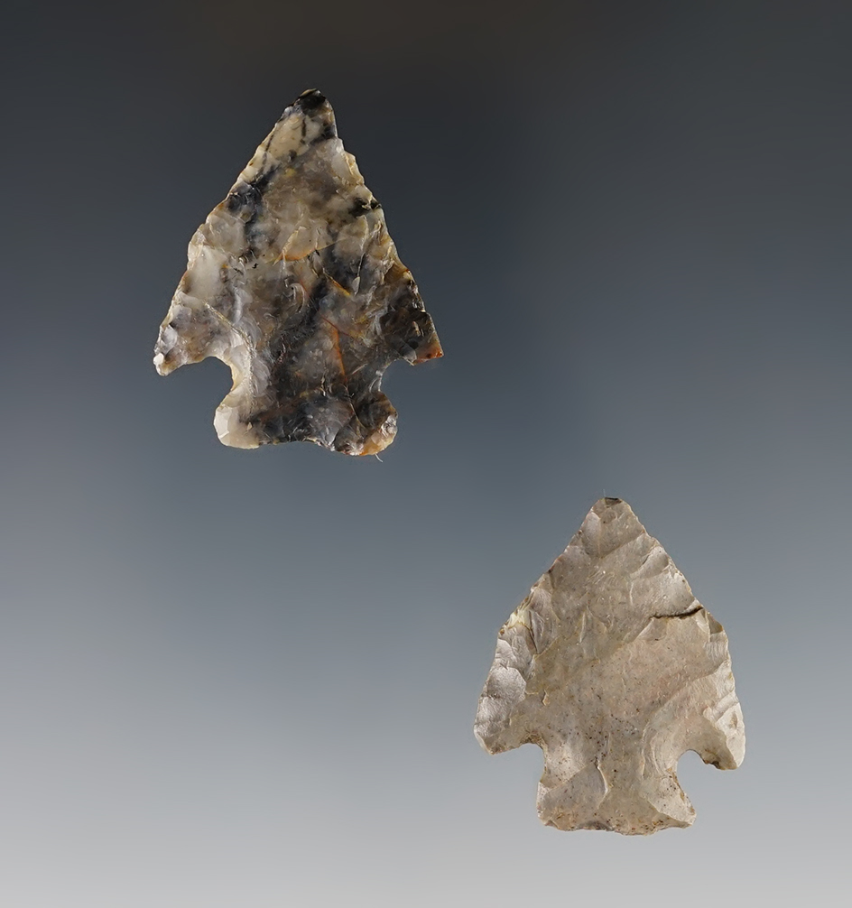 Pair of classic styled Ohio Pentagonal points found in Madison Co. The largest is 1 1/2".