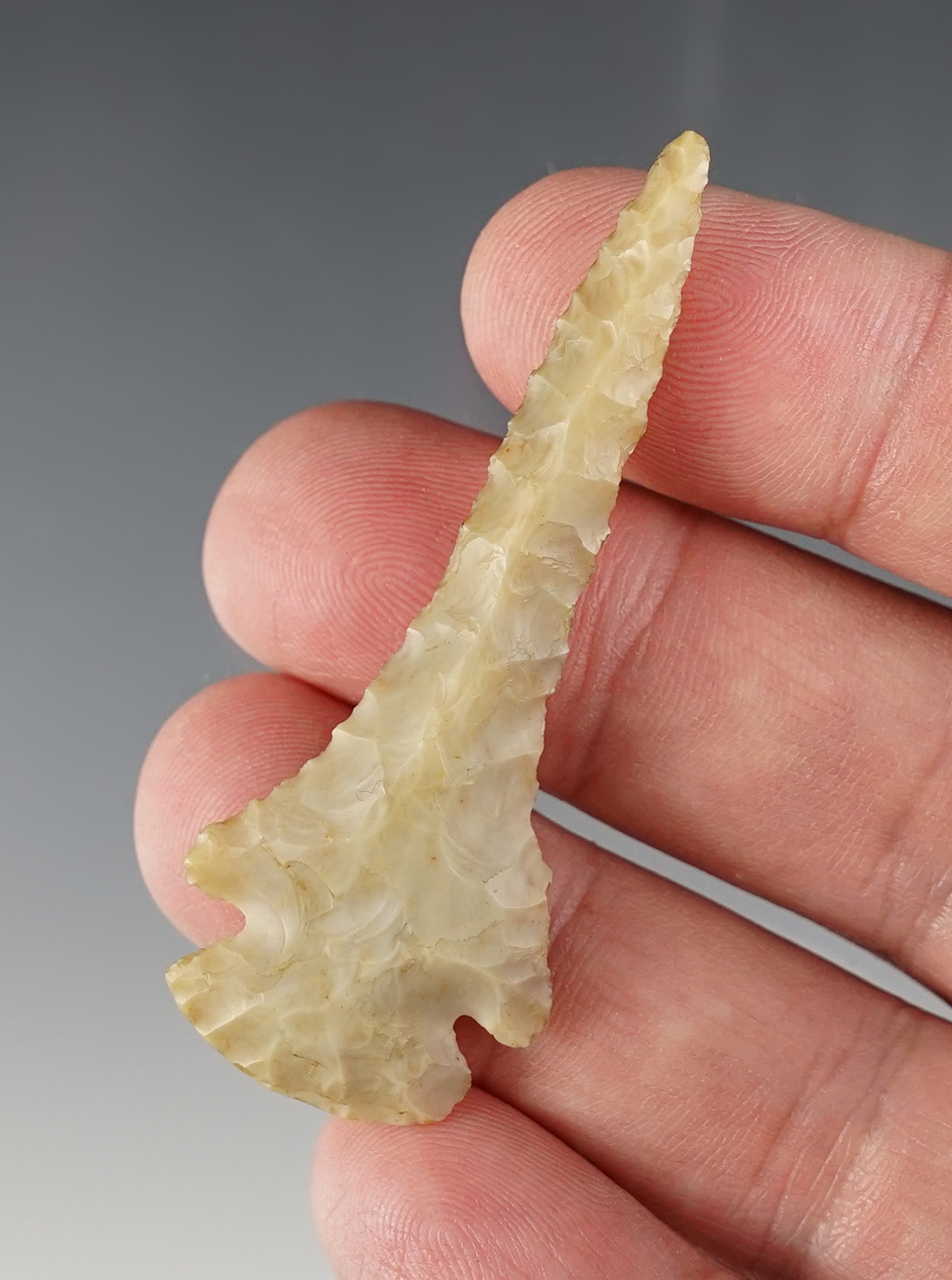 Main artifact image
