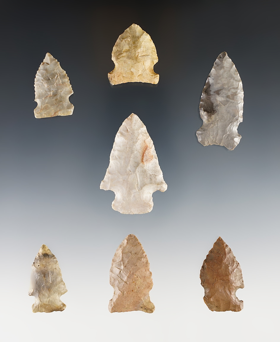 Ex. Museum! Set of 7 Big Sandy Points found in the Midwestern U.S. The largest is 1 13/16".