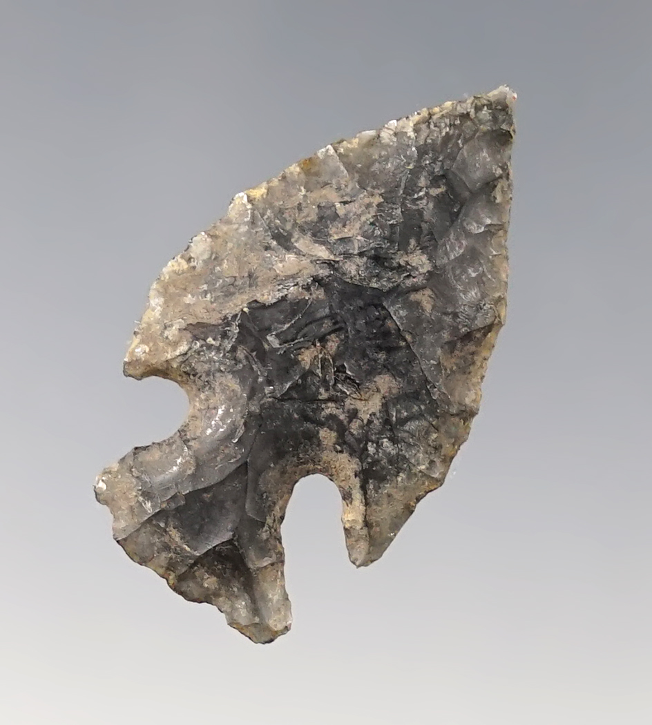 Main artifact image