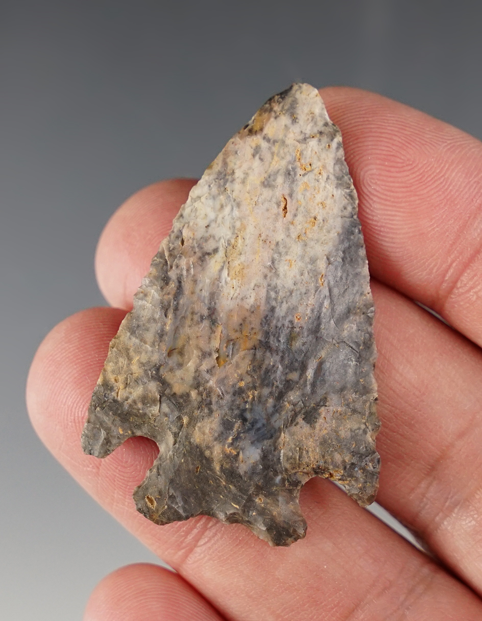 2" gray and pink Nethers Archaic Cornernotch Point. Found in Wyandot Co., Ohio. Finely made.