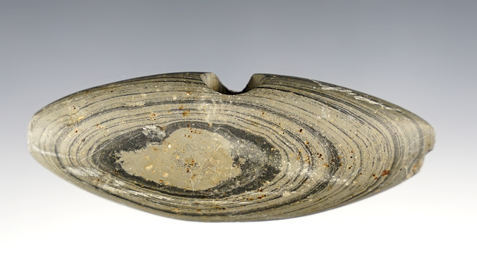 Main artifact image