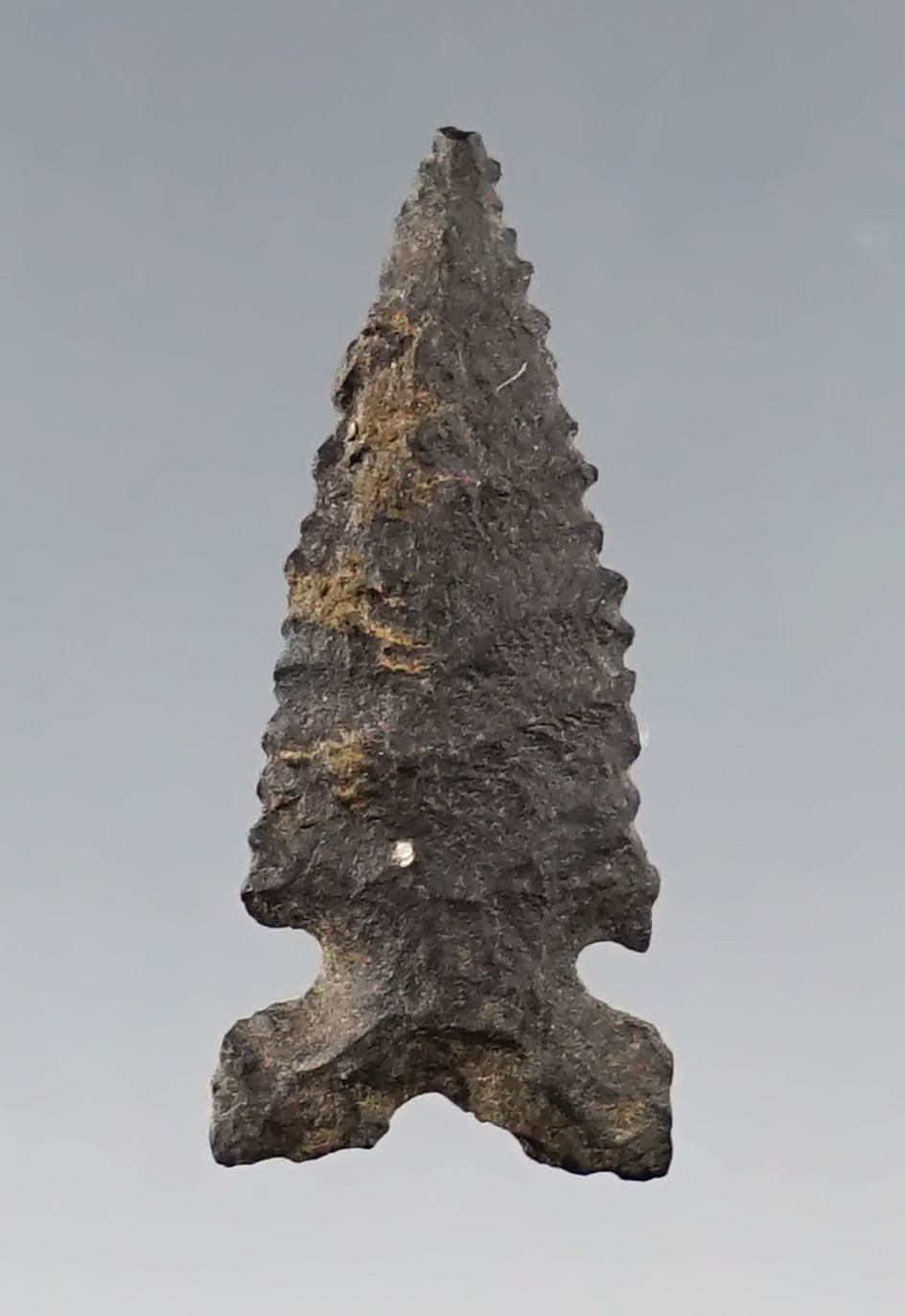 Main artifact image
