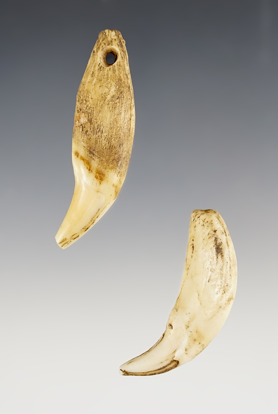 Main artifact image