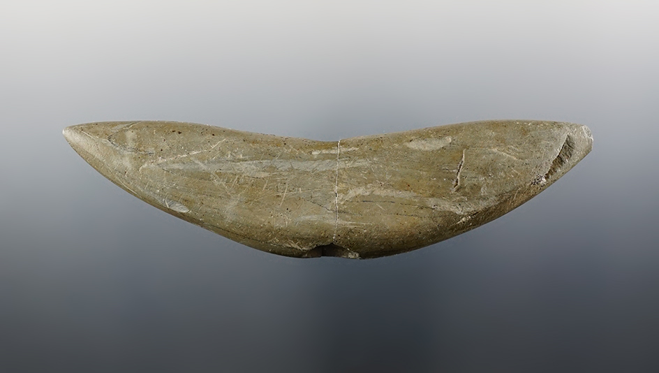 Main artifact image