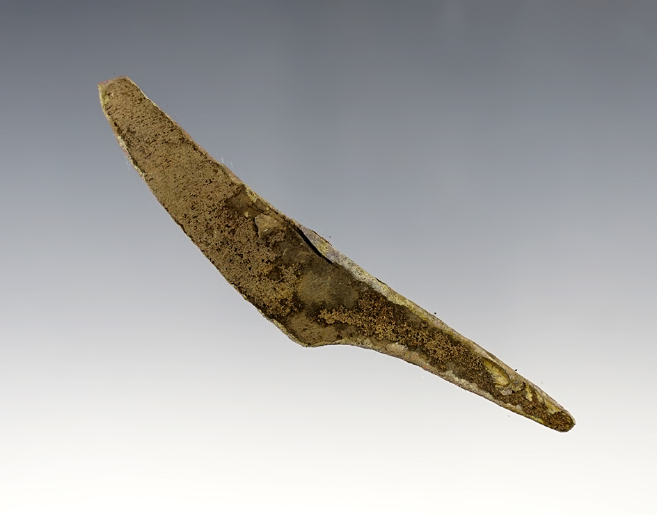 Main artifact image