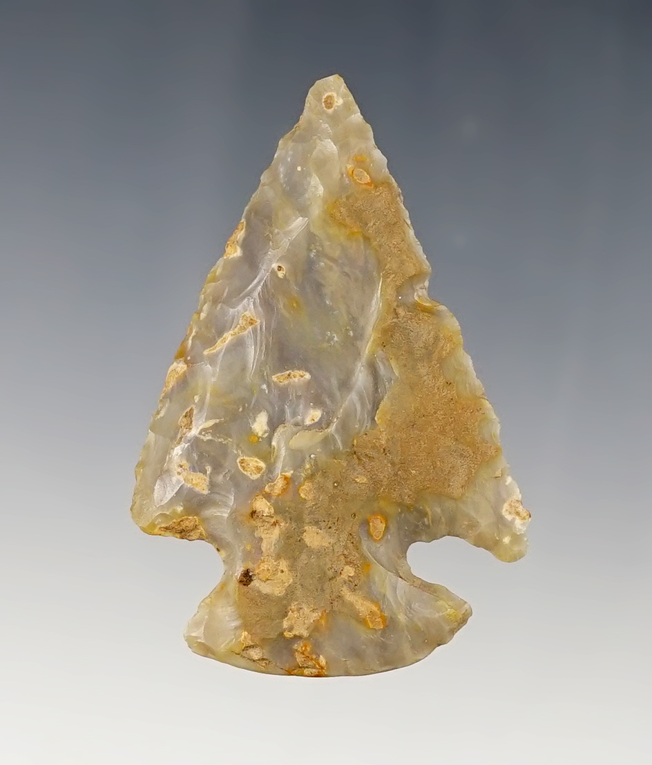 Main artifact image