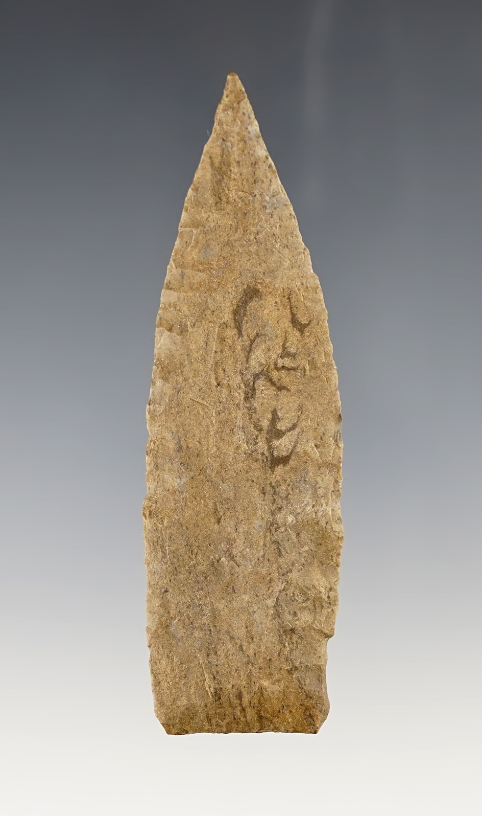 Main artifact image