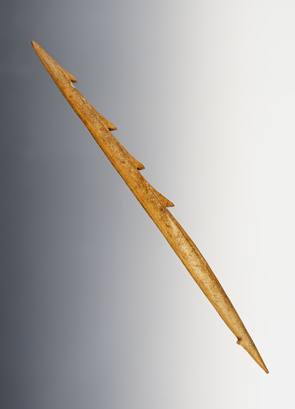 Main artifact image