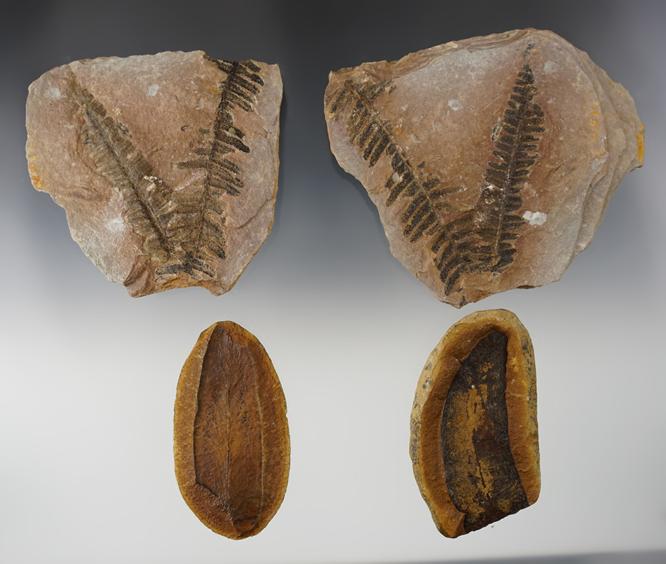 Main artifact image