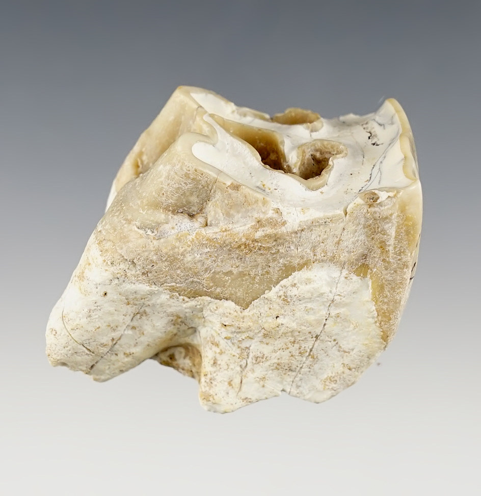 Main artifact image