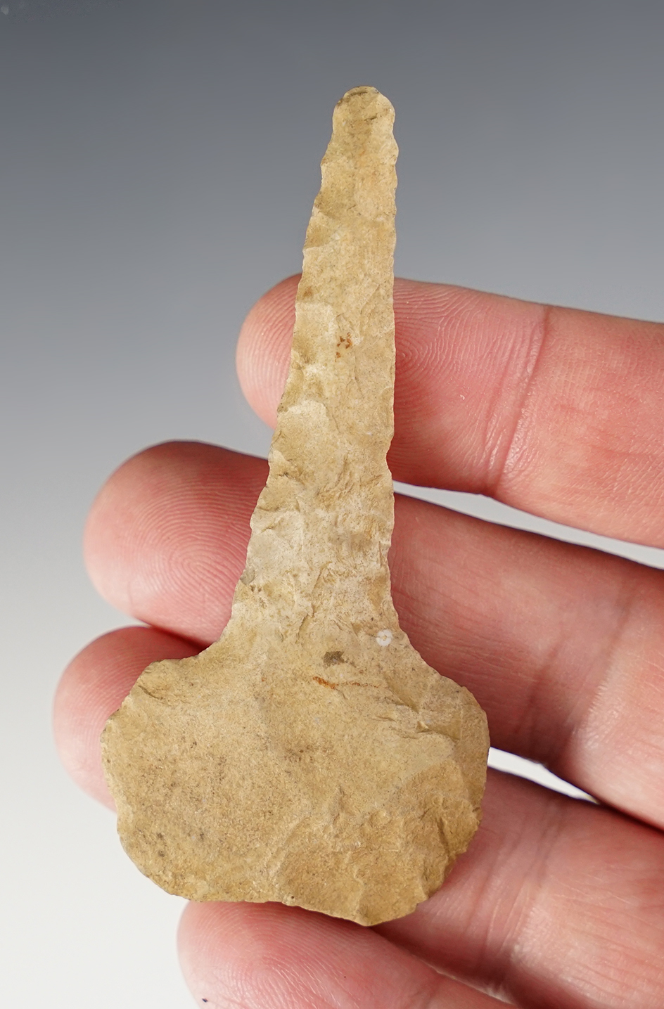 Main artifact image