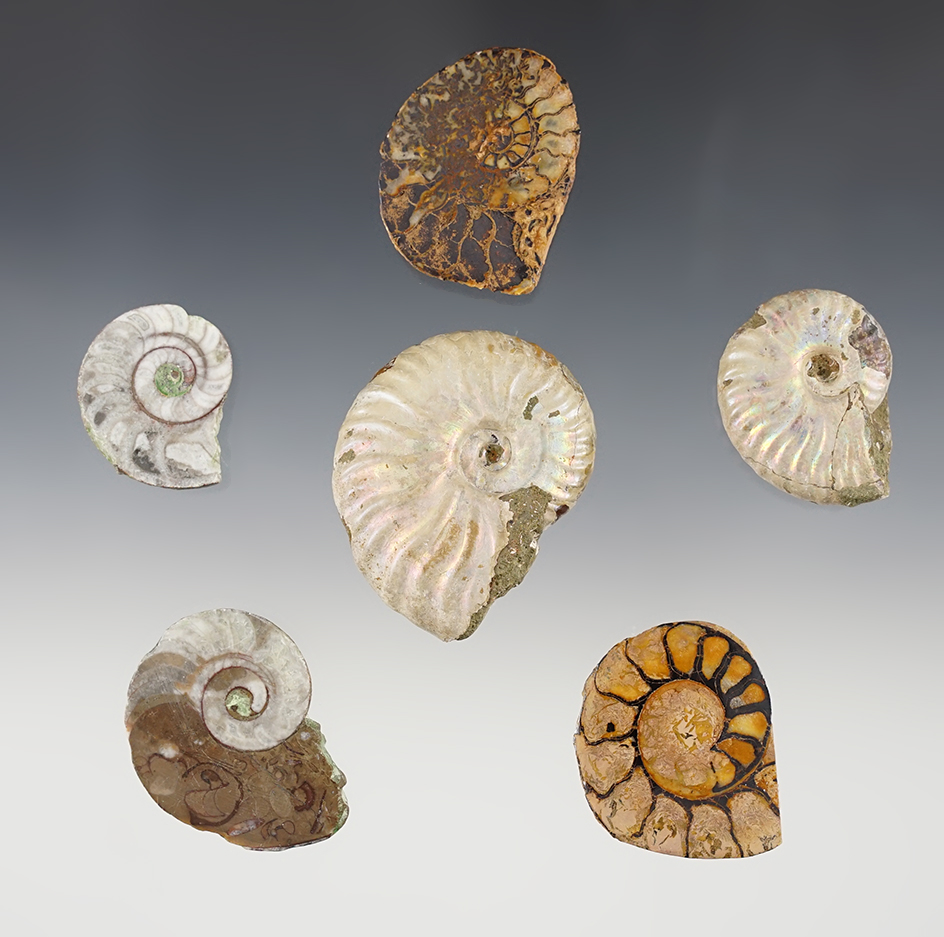 Main artifact image