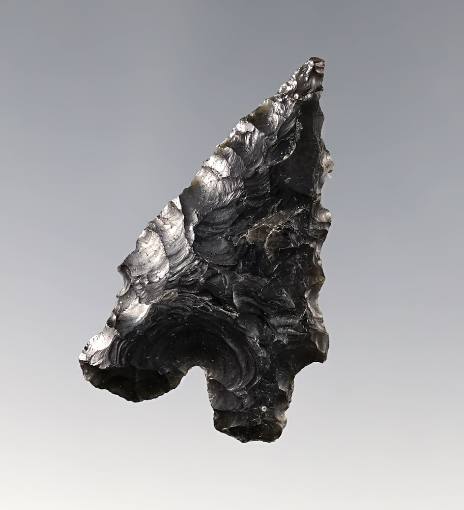 Main artifact image