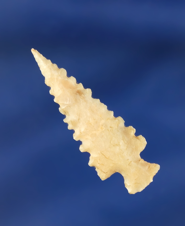 Main artifact image