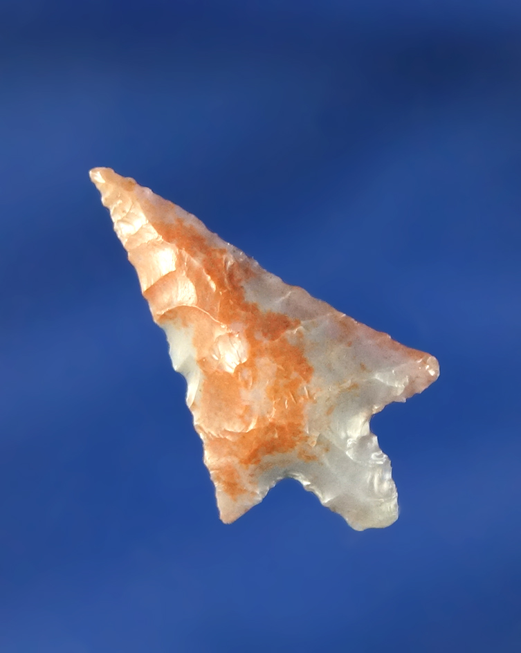 Main artifact image