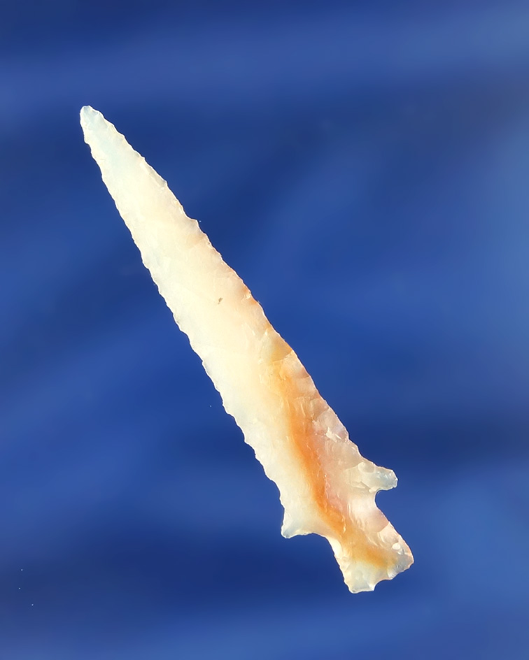 Main artifact image