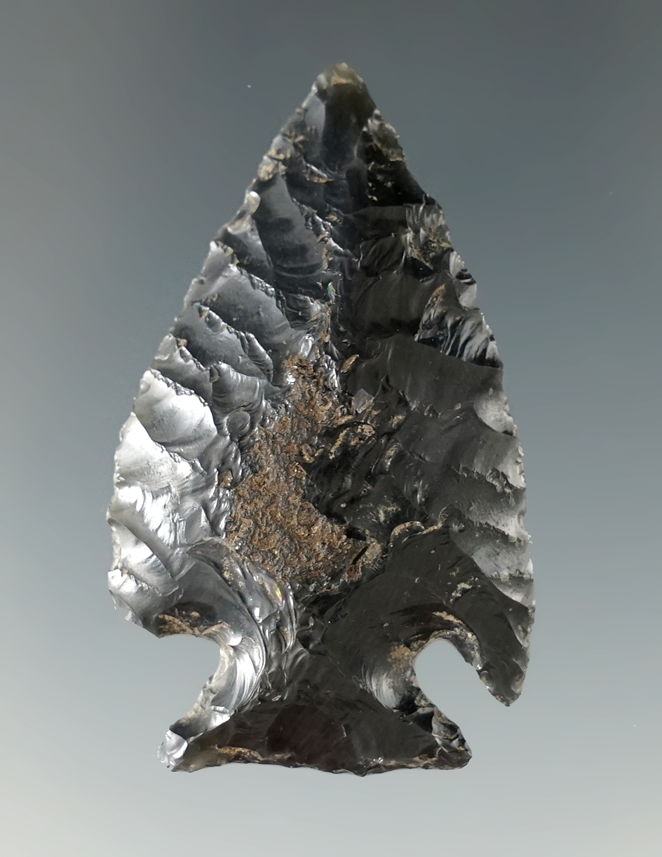 Main artifact image