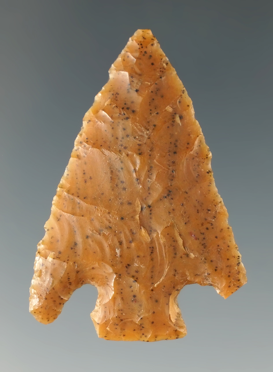 Main artifact image