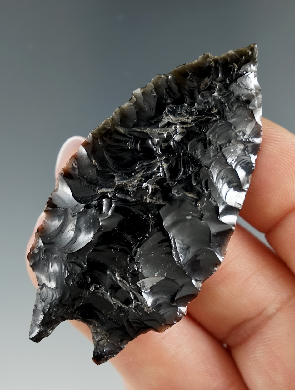 Excellent flaking and style on this 2 1/4" Pinto  Basin found in Lake Co., Oregon.  Stermer COA.