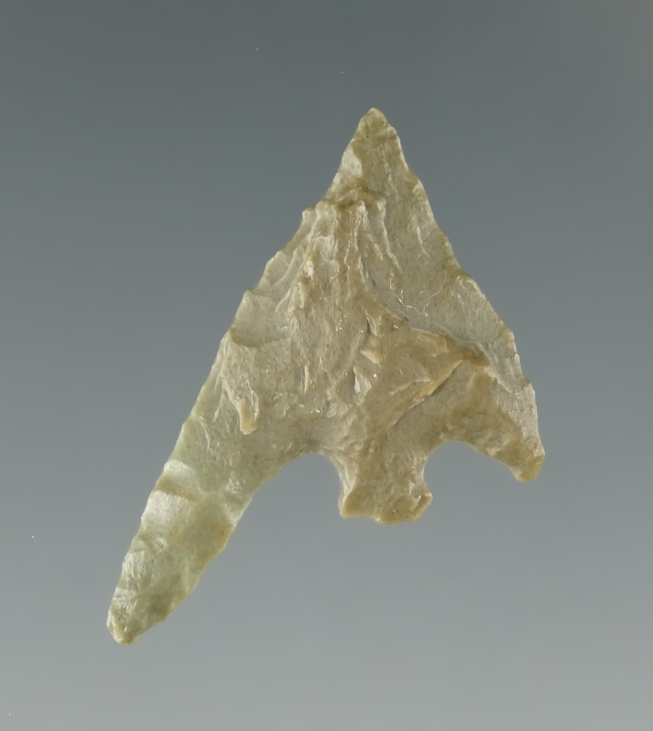 Main artifact image
