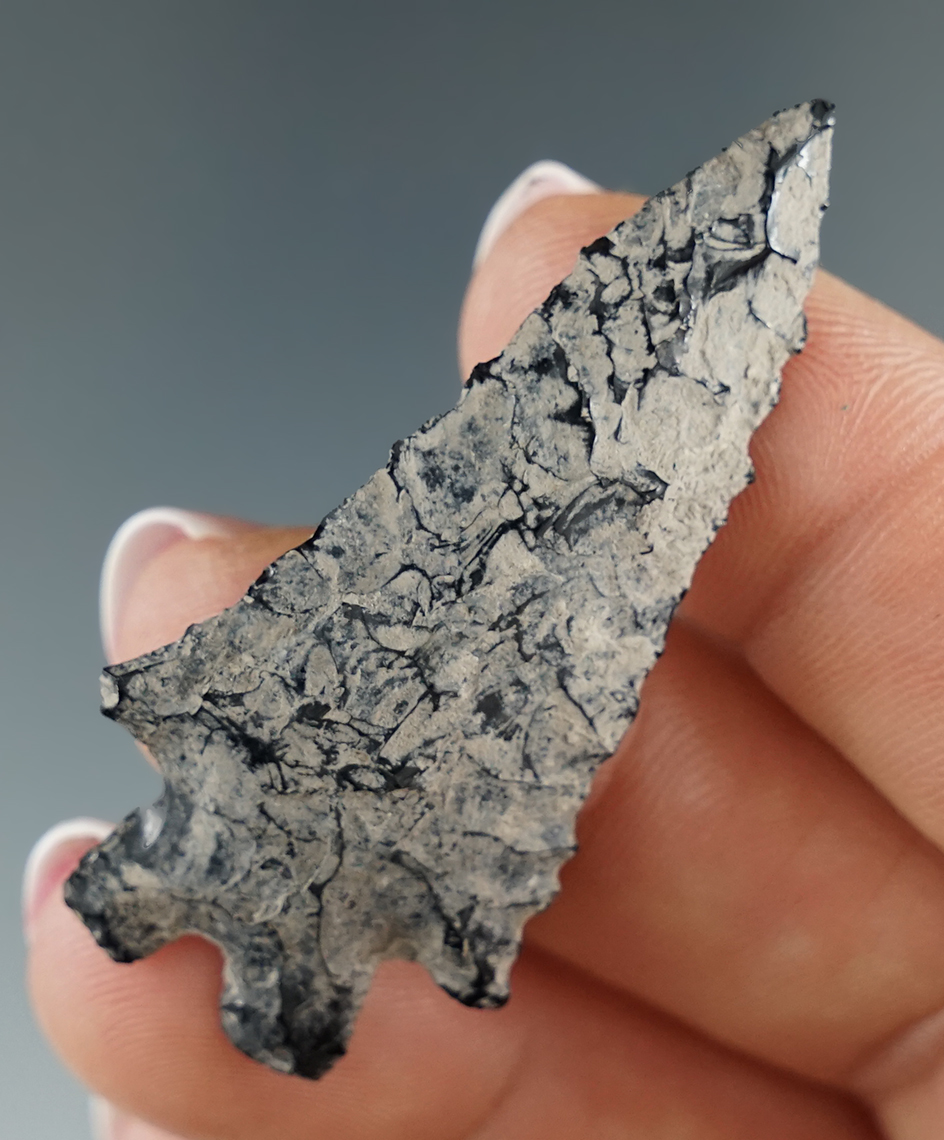 1 15/16" nicely patinated obsidian Pinto Basin found by Don Buckingham in Christmas Valley, Oregon.