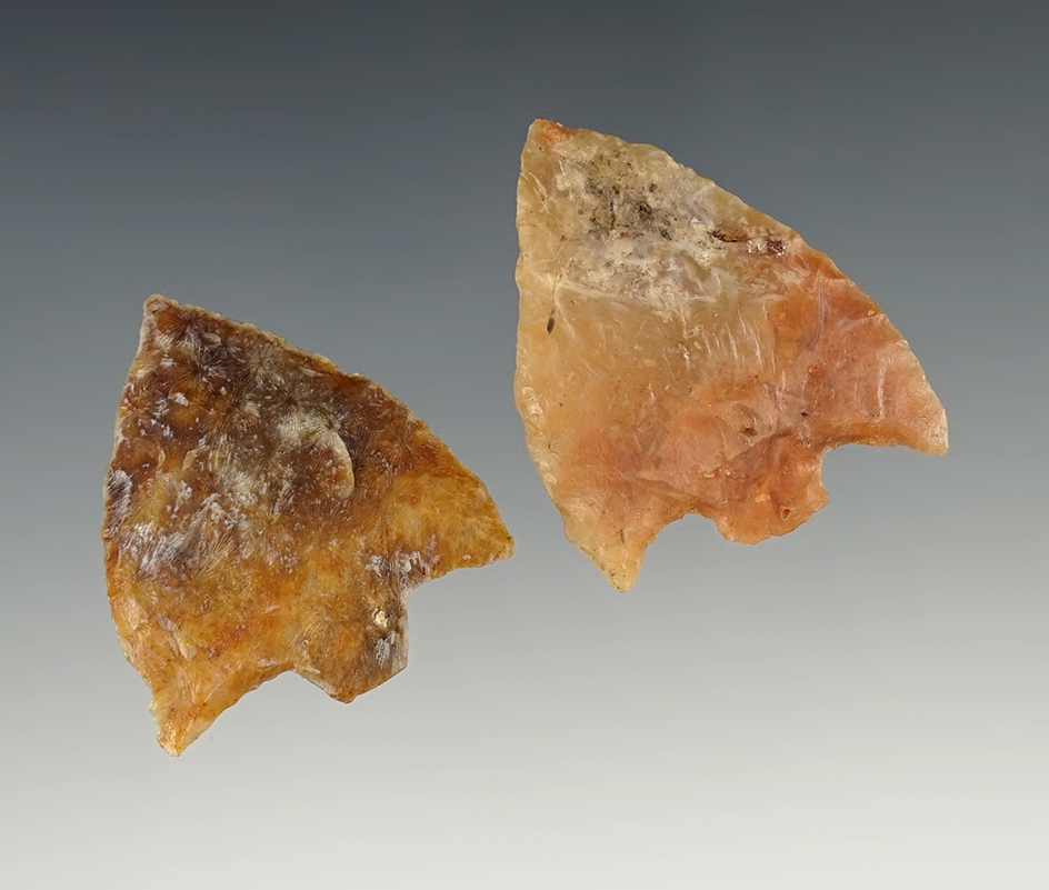 Main artifact image