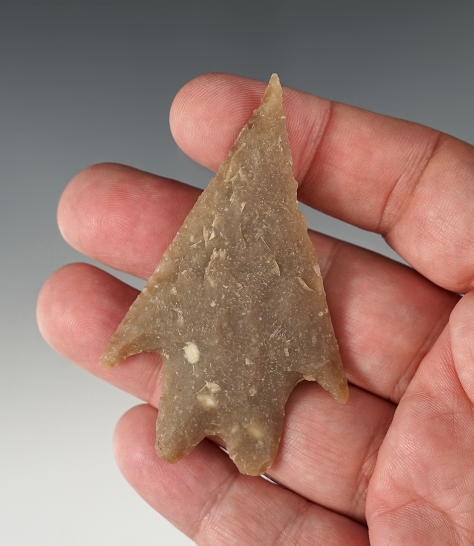 2 7/8" Pedernales point found in Bandera Co., Texas. Comes with a Rogers COA.