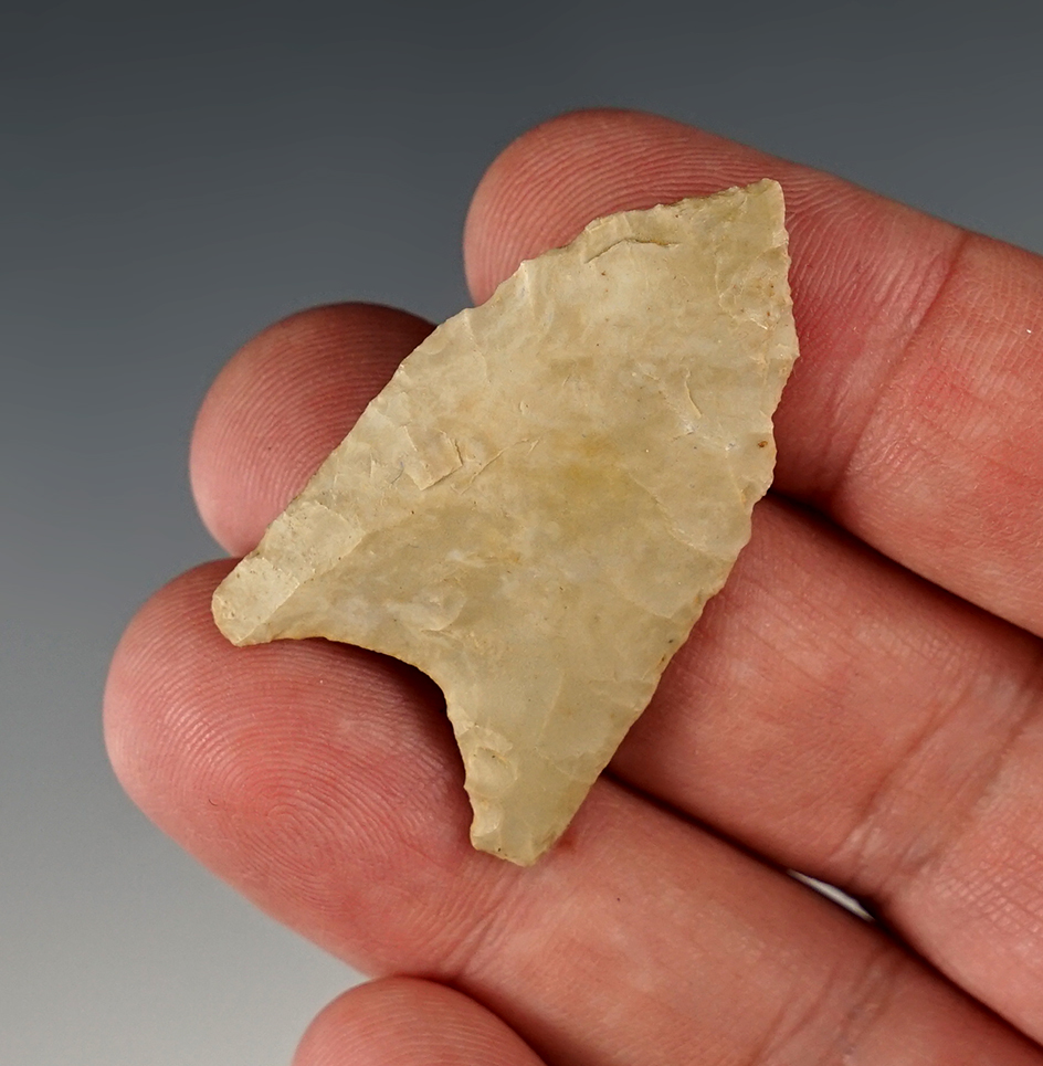 Main artifact image