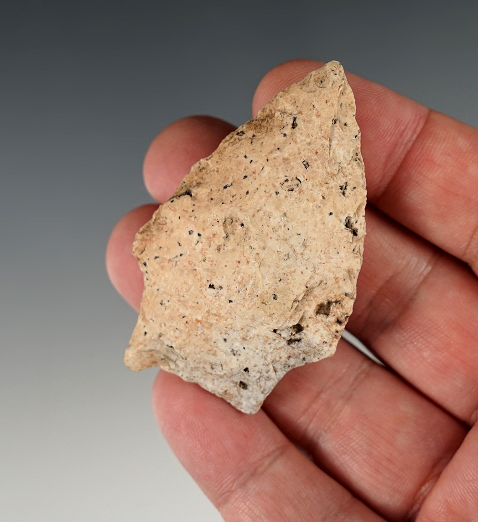 Main artifact image
