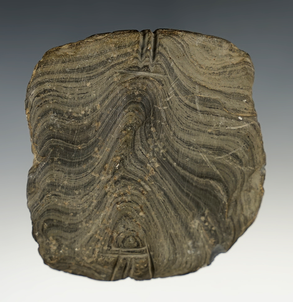 Main artifact image