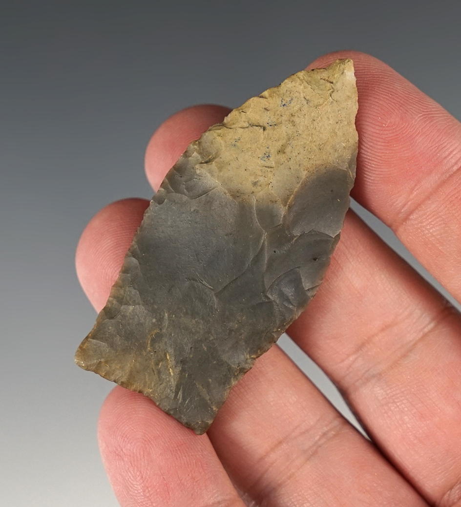 2 3/8" Copena found in Crawford Co., Indiana, that is nicely flaked from Hornstone.