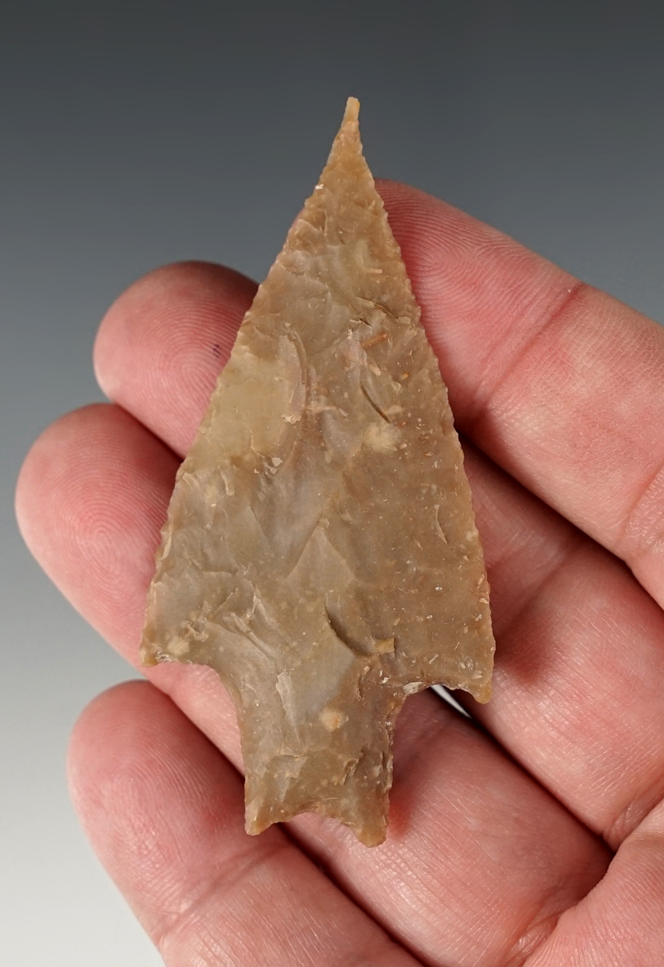 2 13/16" Pedernales made from brown chert. Found in Bandera Co., Texas. Rogers COA.