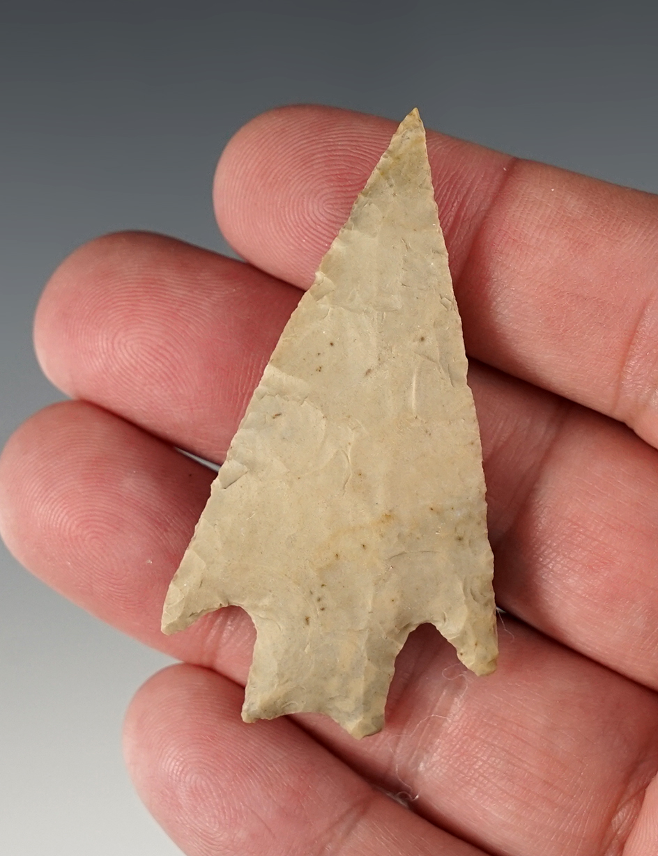 1 5/16" Pedernales made from light tan chert, found in Hill Co., Texas. Rogers COA.