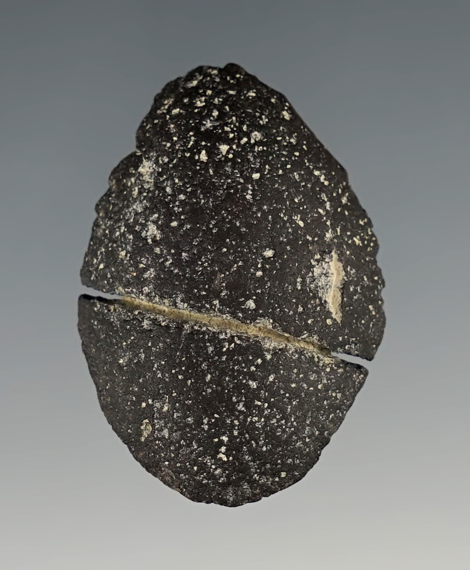 Main artifact image